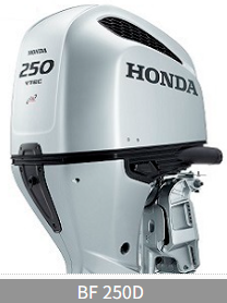 BF 250D.png