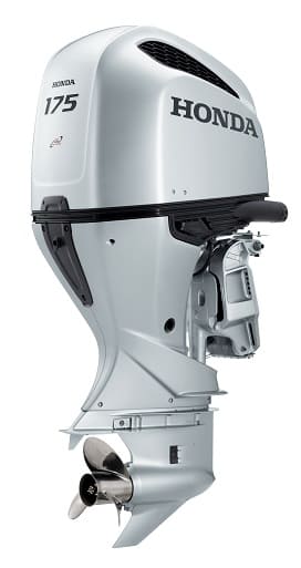 BF 175D1.jpg