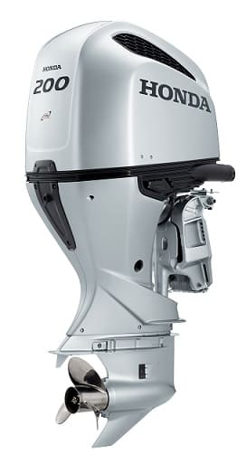 BF 200D1.jpg